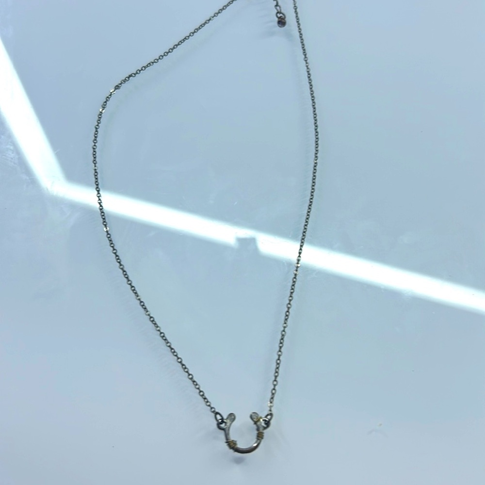 Horse shoe necklace